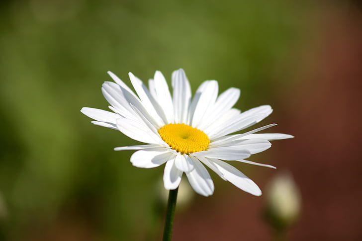 肺结节：治愈希望在何处