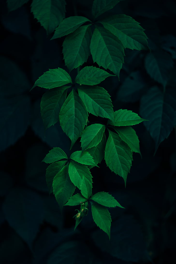 胆管癌引发黄疸症状数期款