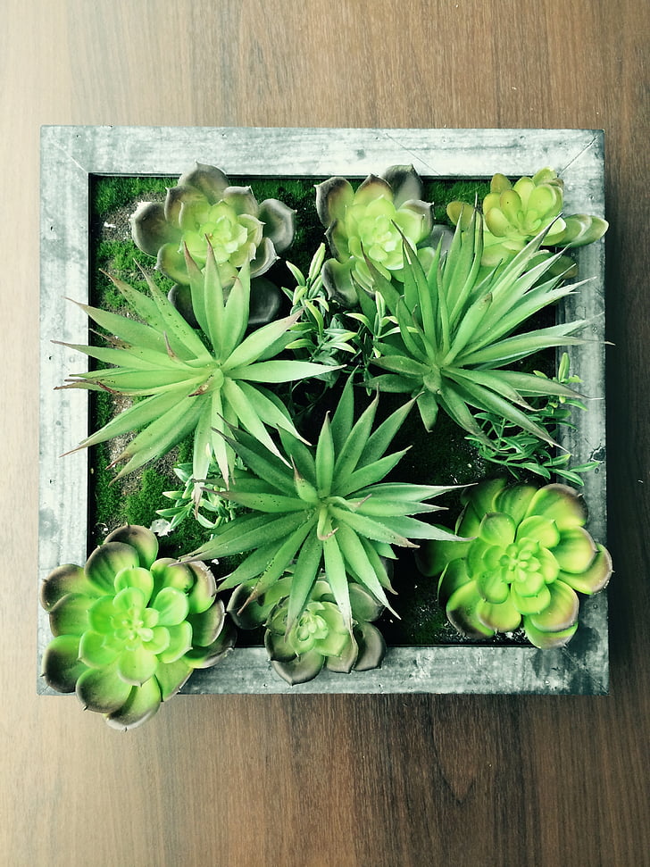 中药吐后还有效吗中药吐了还管用吗