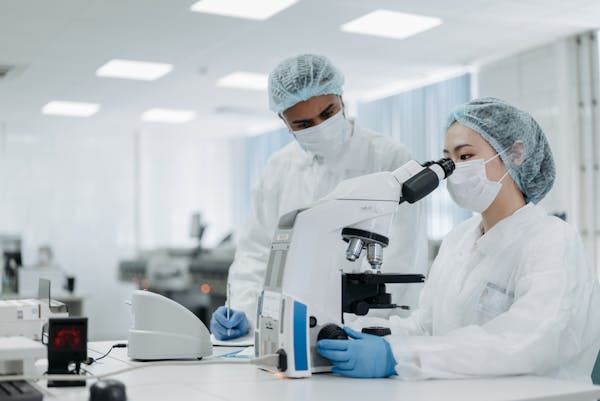 中药治病的原理：它是怎么样发挥作用的  第4张