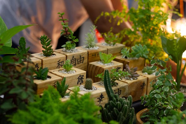 【止咳偏方大全】止咳最快的偏方和秘方大集合
