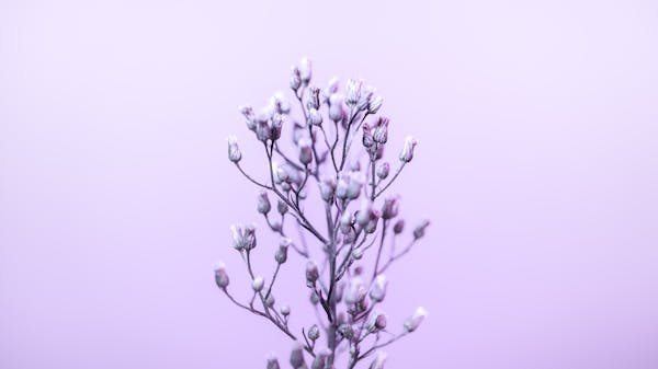 中西药联用：安全与否