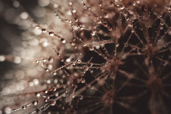 传统偏方妙用：花椒洗涤痔疮，竟获奇效  第3张