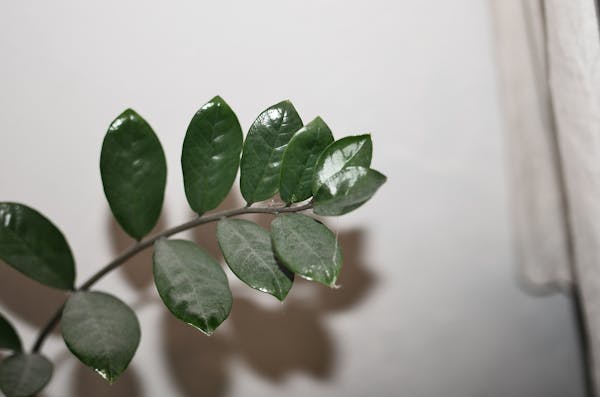 黄永源奇难杂症精选集锦