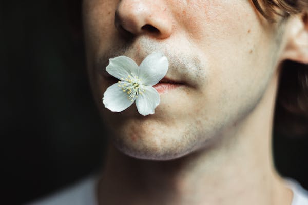 桃花散功效与作用