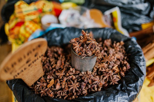 中成药与中草药：差异探究  第4张