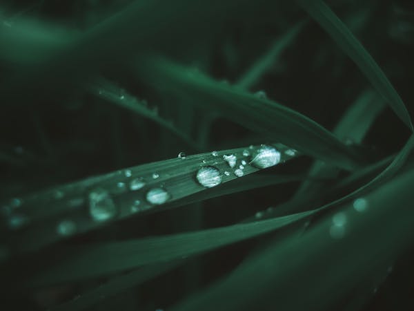 小心！高血压别碰这些水果