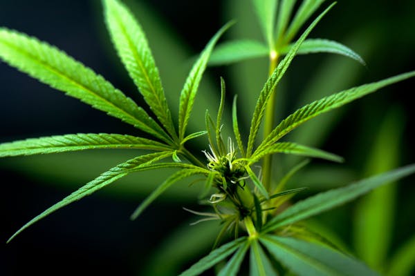 减肥偏方：快速减肥的21个妙招  第2张