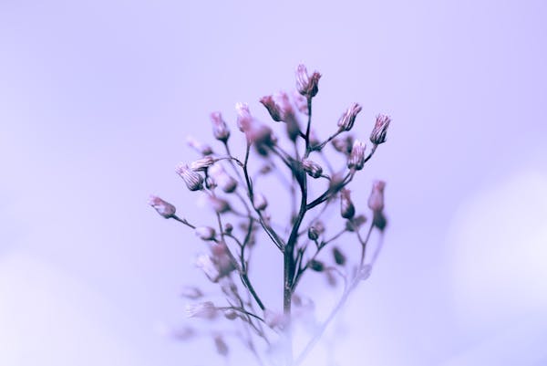 中成药和汤药药效比较：谁更胜一筹