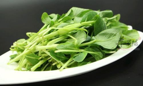 春季可以多吃鸡毛菜和豆芽菜  第1张