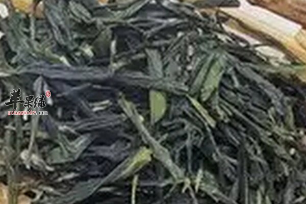 春季养生喝茶养肝 需要注意的事项  第1张