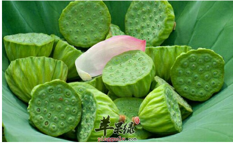 春季养生的气候特点是什么  第1张