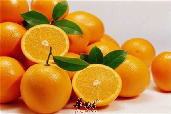 适合老年人补钙的四种食物