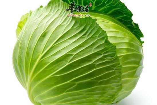 夏季这5种食物帮你养好胃  第4张