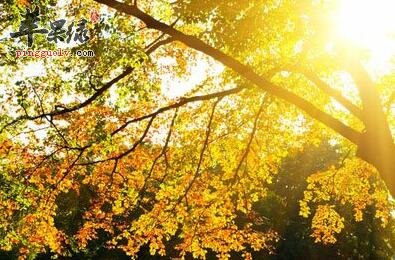 3个秋季养生的小常识你怎能不知  第1张