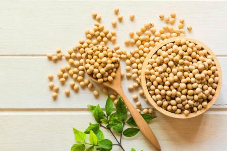 夏至多吃哪些食物 缓解高血脂  第1张
