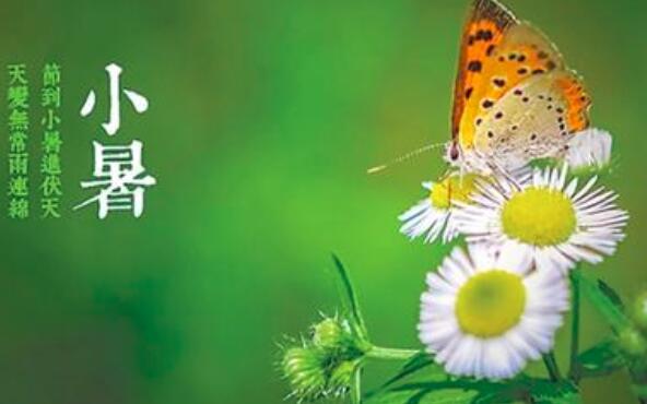 小暑和入伏是一回事吗