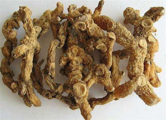 改善记忆力预防老年痴呆的中药材