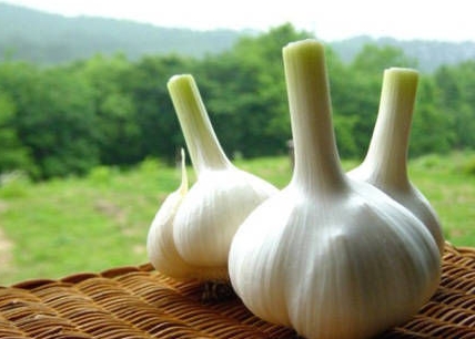 小产后的饮食吃什么_怎么吃