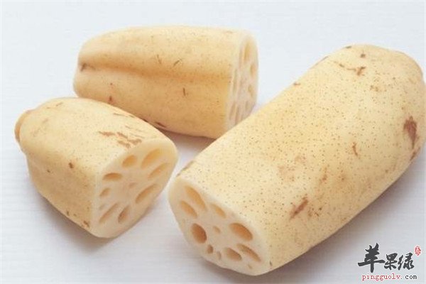 七月吃什么蔬菜好 莲藕胡萝卜和黄瓜  第2张