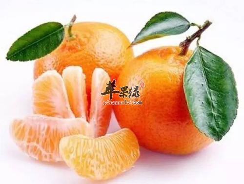 白露节气前后吃哪些水果好