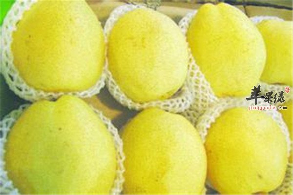 三种水果适合秋季清热去火  第2张