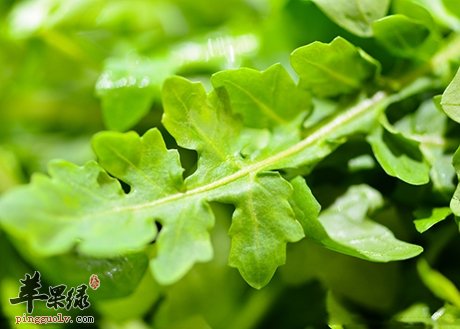 秋季干燥容易上火 吃这些食物防燥  第1张