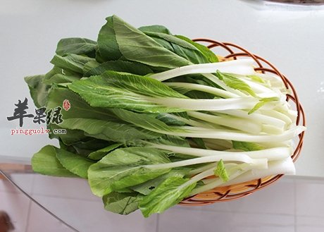 秋季进补推荐吃这些蔬菜  第3张