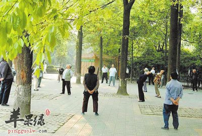 春寒乍暖时候老人如何养生  第1张