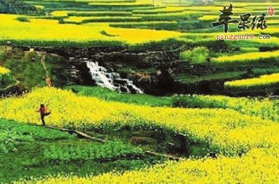 清明节气的防病保健