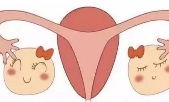 卵巢保养吃什么最好_卵巢保养的食疗方法  第1张