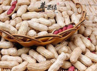 推荐冬季多吃这些食物可以养生  第3张