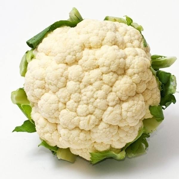 秋季应该吃蔬菜 能帮助养生  第2张
