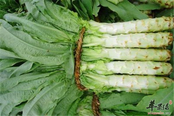四种食材适合立夏节气食用  第3张