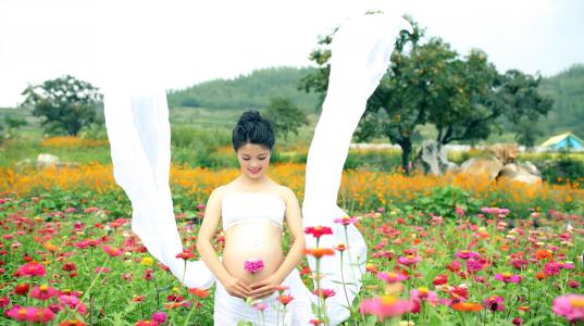 孕妇营养不良吃什么_食疗方法