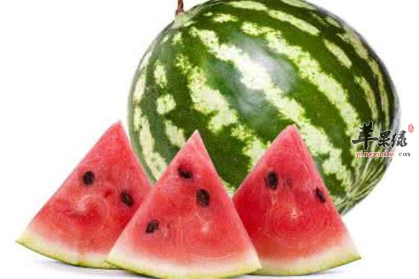 盛夏小暑节气的饮食调理  第1张