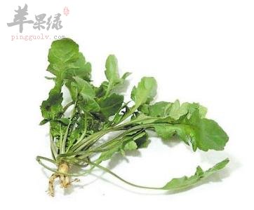 春分多吃这些时令食物有助于健康  第1张