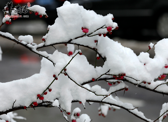 儿童在大雪节气上火怎么办  第3张
