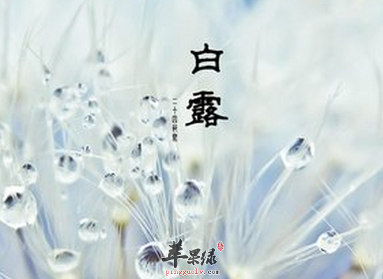 白露养生我们需要预防哪些疾病  第3张