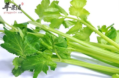 夏日血压易升高 这些蔬菜帮助你  第1张