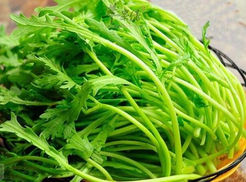 雨水节气注意谨防湿邪调肝养脾  第4张