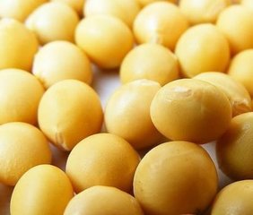 女性经期吃什么能丰胸_食物