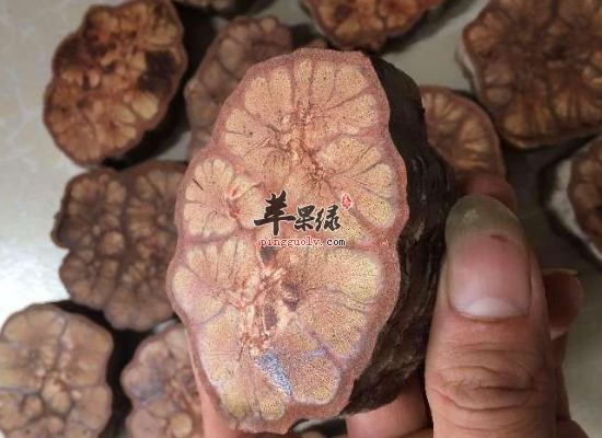 冬季散瘀止痛选用九龙藤效果好  第4张