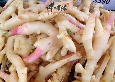 夏季要多吃姜 吃姜的好处众多  第4张