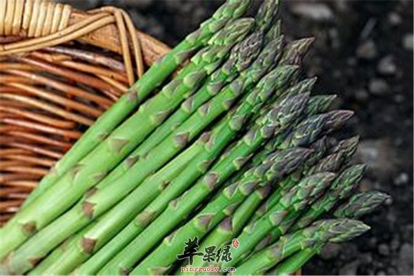 夏季吃这四种食物让你瘦到爆  第3张