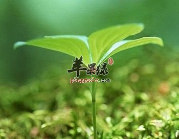 你做好春天的养生准备了吗  第1张