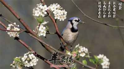 惊蛰节气的防病保健  第1张