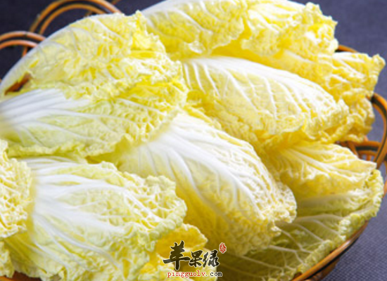 哪些食物在小雪节气吃最好