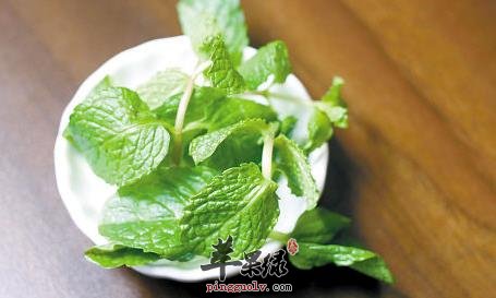 碳酸饮料危害大 自制薄荷饮品健康  第2张