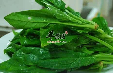 孩子不长个子吃什么食物好